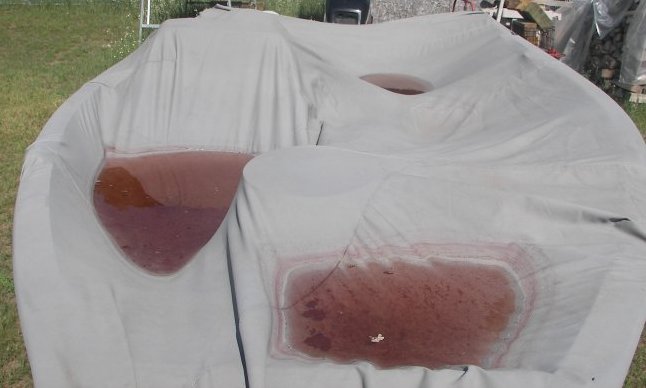 David's cover from the manufacturer.